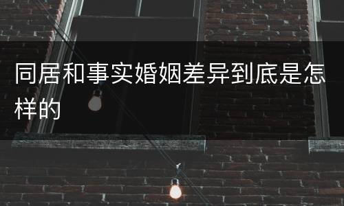 同居和事实婚姻差异到底是怎样的