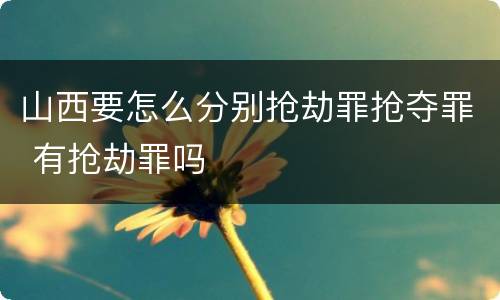山西要怎么分别抢劫罪抢夺罪 有抢劫罪吗
