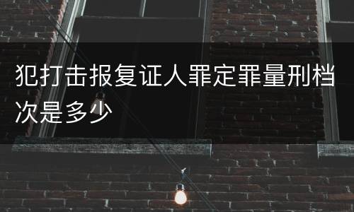 犯打击报复证人罪定罪量刑档次是多少