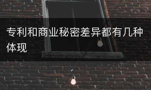 专利和商业秘密差异都有几种体现