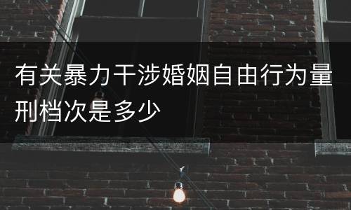 有关暴力干涉婚姻自由行为量刑档次是多少