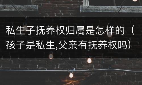 私生子抚养权归属是怎样的（孩子是私生,父亲有抚养权吗）