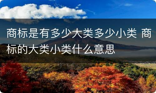 商标是有多少大类多少小类 商标的大类小类什么意思