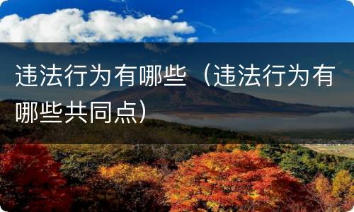 违法行为有哪些（违法行为有哪些共同点）