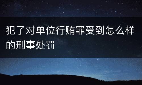 犯了对单位行贿罪受到怎么样的刑事处罚
