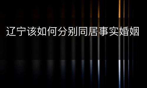 辽宁该如何分别同居事实婚姻
