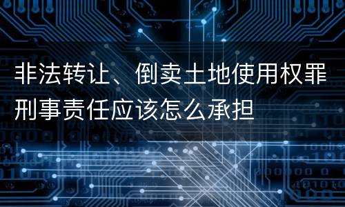 非法转让、倒卖土地使用权罪刑事责任应该怎么承担