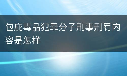 包庇毒品犯罪分子刑事刑罚内容是怎样