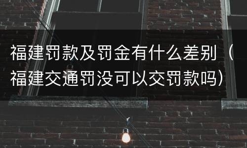福建罚款及罚金有什么差别（福建交通罚没可以交罚款吗）