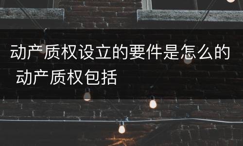 动产质权设立的要件是怎么的 动产质权包括