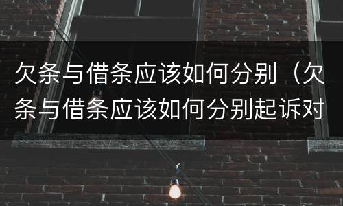欠条与借条应该如何分别（欠条与借条应该如何分别起诉对方）