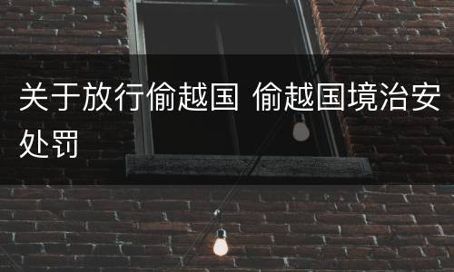 关于放行偷越国 偷越国境治安处罚