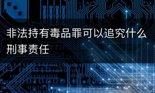 非法持有毒品罪可以追究什么刑事责任