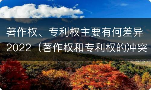 著作权、专利权主要有何差异2022（著作权和专利权的冲突）