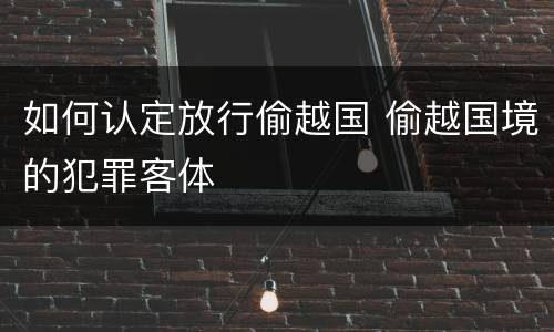 如何认定放行偷越国 偷越国境的犯罪客体