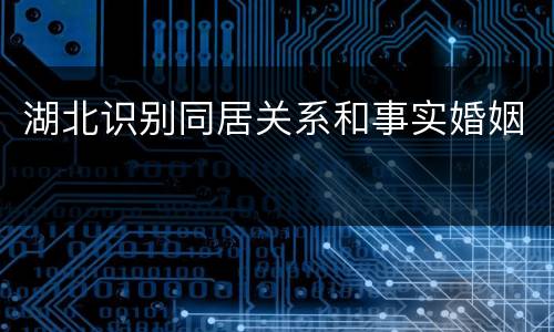 湖北识别同居关系和事实婚姻