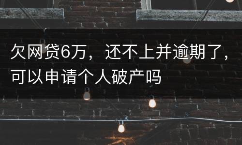 欠网贷6万，还不上并逾期了，可以申请个人破产吗