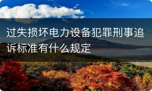 过失损坏电力设备犯罪刑事追诉标准有什么规定