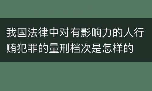 我国法律中对有影响力的人行贿犯罪的量刑档次是怎样的