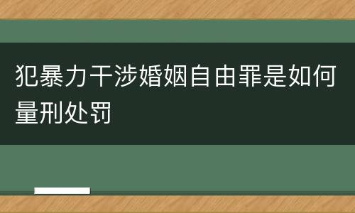 犯暴力干涉婚姻自由罪是如何量刑处罚