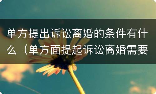 单方提出诉讼离婚的条件有什么（单方面提起诉讼离婚需要什么手续）