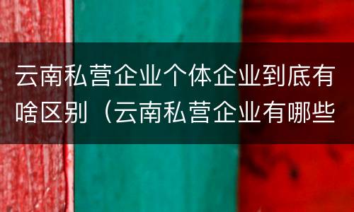 云南私营企业个体企业到底有啥区别（云南私营企业有哪些）