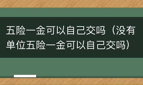五险一金可以自己交吗（没有单位五险一金可以自己交吗）