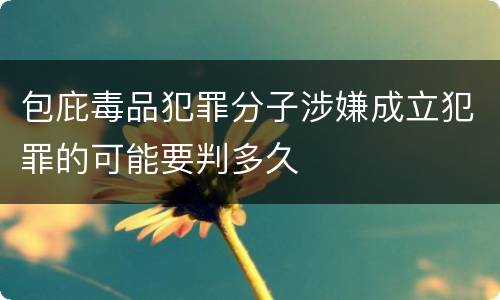 包庇毒品犯罪分子涉嫌成立犯罪的可能要判多久