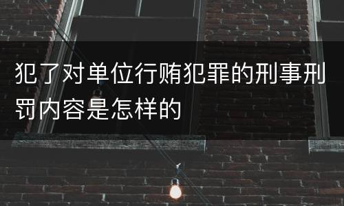 犯了对单位行贿犯罪的刑事刑罚内容是怎样的