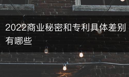 2022商业秘密和专利具体差别有哪些