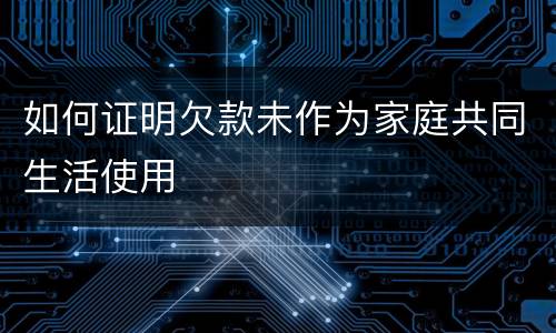 如何证明欠款未作为家庭共同生活使用
