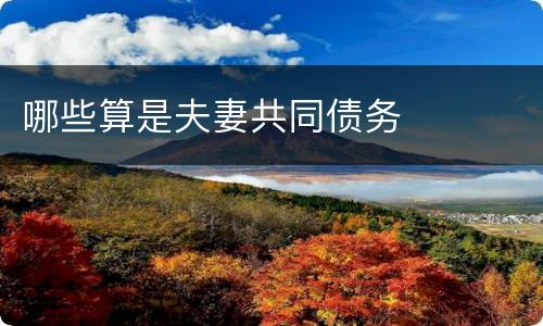 哪些算是夫妻共同债务
