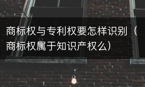 商标权与专利权要怎样识别（商标权属于知识产权么）