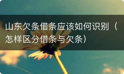 山东欠条借条应该如何识别（怎样区分借条与欠条）
