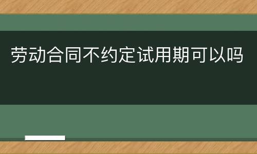 劳动合同不约定试用期可以吗