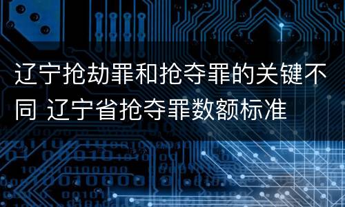 辽宁抢劫罪和抢夺罪的关键不同 辽宁省抢夺罪数额标准