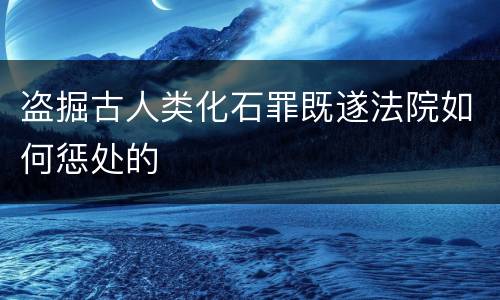 盗掘古人类化石罪既遂法院如何惩处的