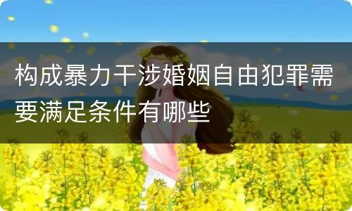 构成暴力干涉婚姻自由犯罪需要满足条件有哪些