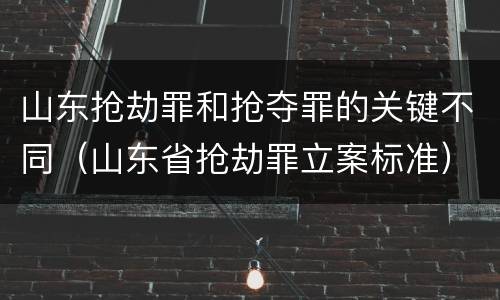 山东抢劫罪和抢夺罪的关键不同（山东省抢劫罪立案标准）