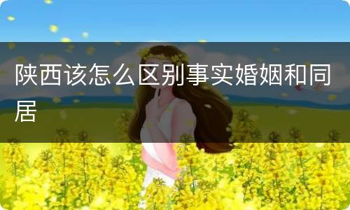 陕西该怎么区别事实婚姻和同居
