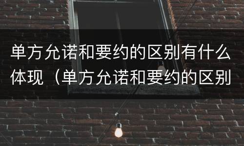 单方允诺和要约的区别有什么体现（单方允诺和要约的区别有什么体现吗）
