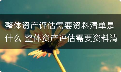 整体资产评估需要资料清单是什么 整体资产评估需要资料清单是什么意思