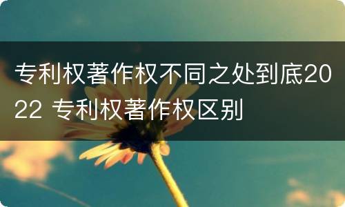 专利权著作权不同之处到底2022 专利权著作权区别