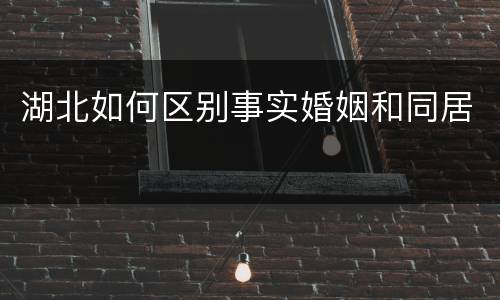 湖北如何区别事实婚姻和同居