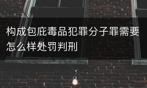 构成包庇毒品犯罪分子罪需要怎么样处罚判刑