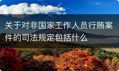 关于对非国家工作人员行贿案件的司法规定包括什么