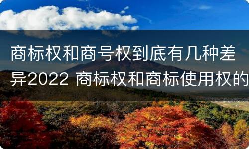 商标权和商号权到底有几种差异2022 商标权和商标使用权的区别