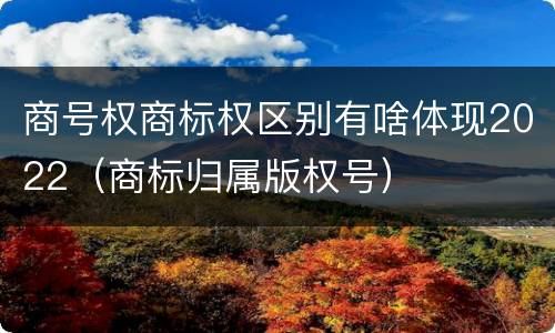 商号权商标权区别有啥体现2022（商标归属版权号）