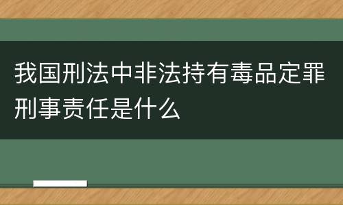我国刑法中非法持有毒品定罪刑事责任是什么