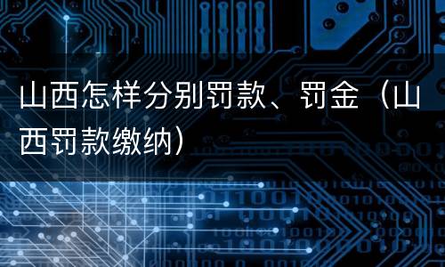 山西怎样分别罚款、罚金（山西罚款缴纳）